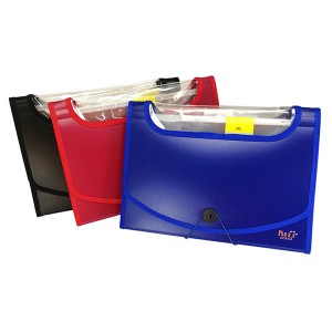 DC4003 EXPANDING FILE(6) 