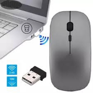 WIRELESS MOUSE (CHARGING)  