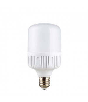 E27 10W LED BULB   