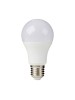 E27 LED BULB