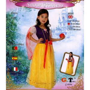 COSTUME PRETTY SNOW PRINCESS G0106