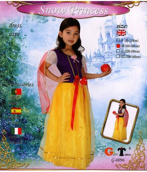 COSTUME PRETTY SNOW PRINCESS G0106