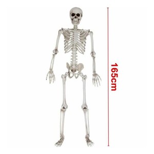 HALLOWEEN 165CM 3D SKELETON MAN 