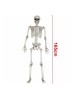 HALLOWEEN 165CM 3D SKELETON MAN 