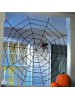 SPIDER WEB WITH SPIDER   
