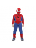 COSTUME SPIDER HERO B0068