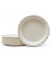 DISPOSABLE SUGARCANE PULP BAGASS PLATE