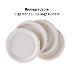 DISPOSABLE SUGARCANE PULP BAGASS PLATE