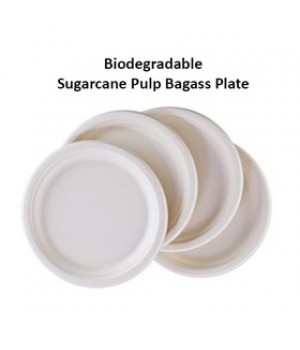 DISPOSABLE SUGARCANE PULP BAGASS PLATE