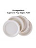 DISPOSABLE SUGARCANE PULP BAGASS PLATE