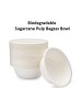 DISPOSABLE SUGARCANE PULP BOWL