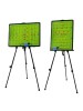 COACHING BOARD FOOTBALL (STANDING)