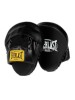 EVERLAST FOCUS MITT