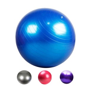 GYM BALL 65/75CM