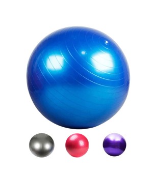 GYM BALL 65/75CM