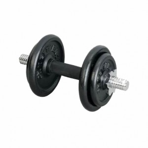 IRON DUMBELL SET         