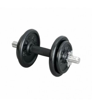 IRON DUMBELL SET         