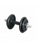 IRON DUMBELL SET         