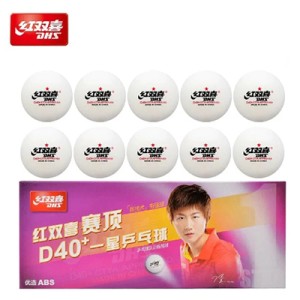 DHS 1 STAR TABLE TENNIS BALL 40+ (10)