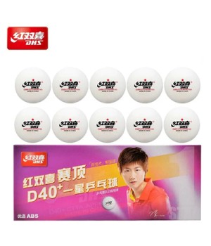 DHS 1 STAR TABLE TENNIS BALL 40+ (10)