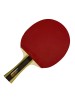 DHS 1002 PING PONG BAT