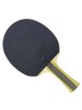DHS 1002 PING PONG BAT