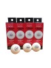 NITTAKU PERMIUM 40+ TABLE TENNIS BALL