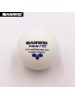 SANWEI ABS HD 40+ PING PONG BALL