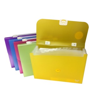 B8820 EXPANDING FILE WITH HANDLE 
