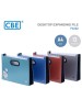 CBE F4322 DESKTOP EXPANDING FILE
