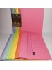 LION MFF350 SPRING FLAT FILE 310gsm   