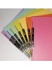 LION MFF350 SPRING FLAT FILE 310gsm   
