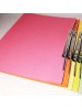 LION MFF350 SPRING FLAT FILE 310gsm   