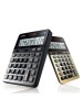 CASIO JS-10B HEAVY DUTY CALCULATOR