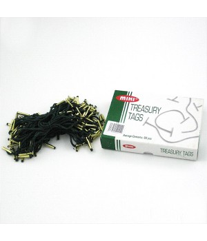 TREASURY TAGS (BOX)    #4/4"